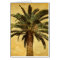 Vintage Tropical Palm Tree