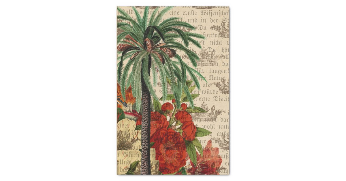 Vintage Tropical Palm Tree Tissue Paper Zazzle