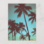 Vintage Tropical Palms Postcard