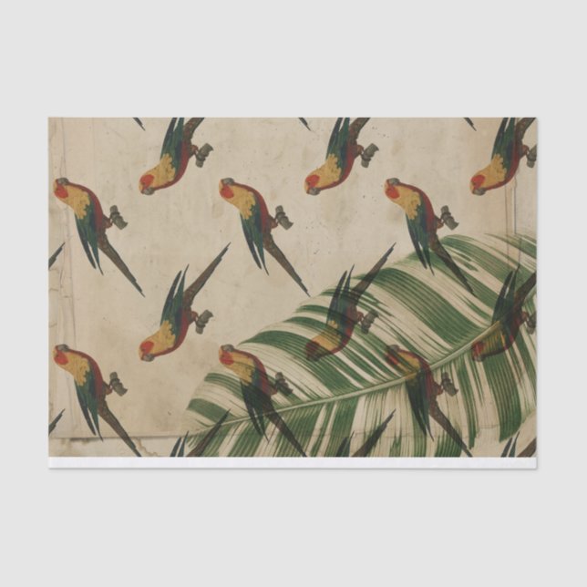 Vintage Tropical Parrot Tissue Paper (Front)