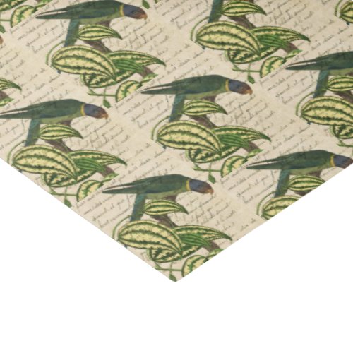 Vintage Tropical Parrot Tissue Paper