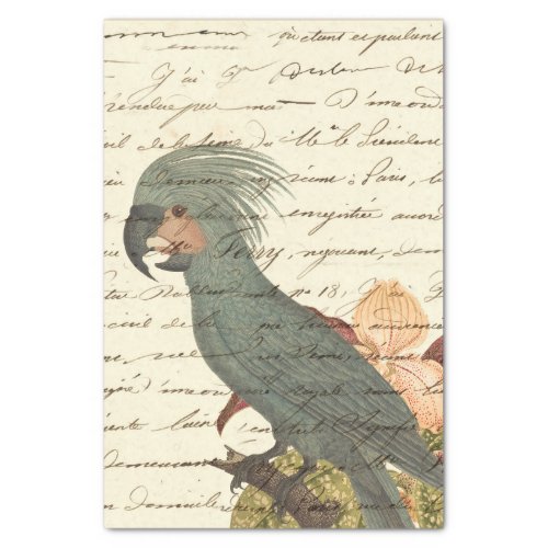 Vintage Tropical Parrot Tissue Paper