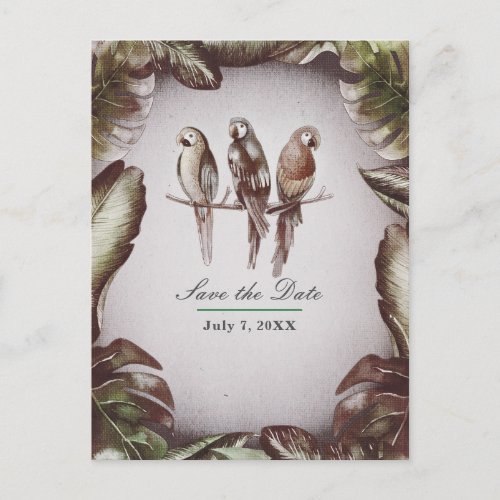 Vintage Tropical Tiki Birds Parrots Save the Date Announcement Postcard
