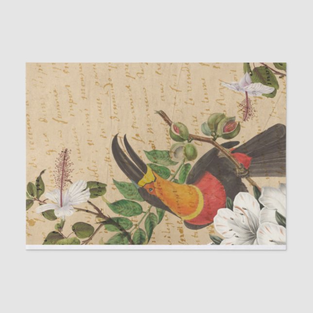 Vintage Tropical Toucan Tissue Paper (Front)