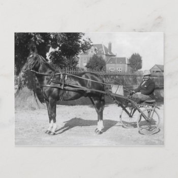 Vintage Trotter And Sulky Postcard by Past_Impressions at Zazzle