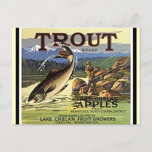 Vintage Trout Brand Fly Fisherman Apples Postcards