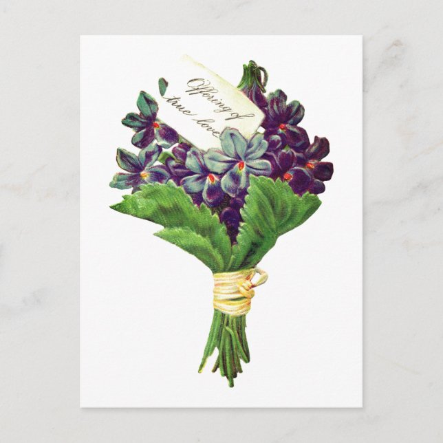 Vintage True Love Violets Postcard (Front)