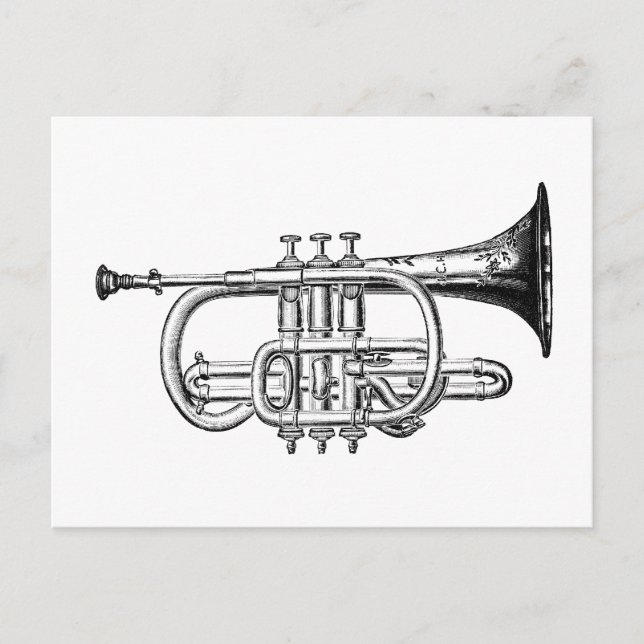 Vintage Trumpet Wood Engraving Postcard (Front)