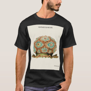 VINTAGE TUNICATE by CHARLES DESSALINES D' ORBIGNY, T-Shirt