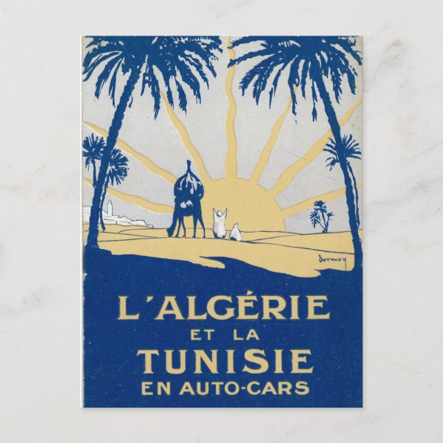Vintage Tunisie Travel Postcard (Front)