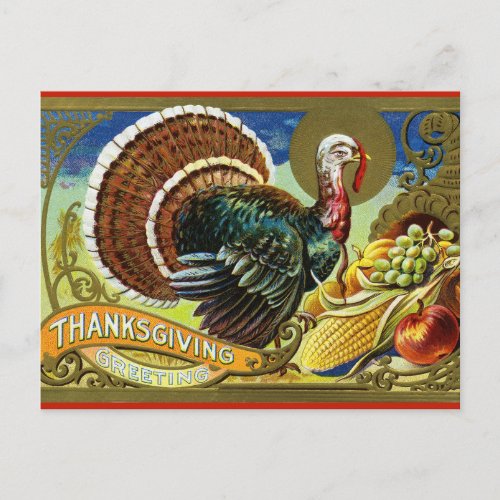 Vintage Turkey and Cornucopia  Postcard