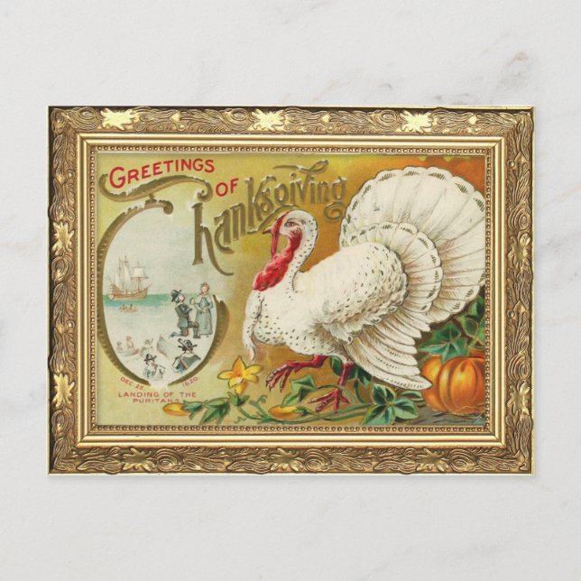 Vintage Turkey and Pumpkin Thanksgiving Postcard (Front)