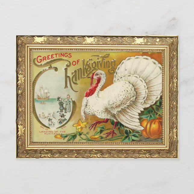 Vintage Turkey and Pumpkin Thanksgiving Postcard | Zazzle