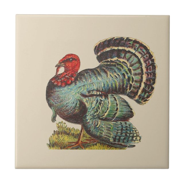 Vintage Turkey Ceramic Tile (Front)