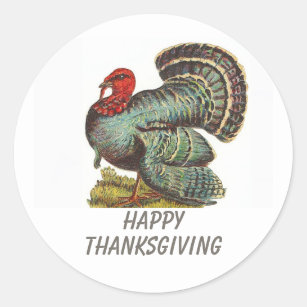 Vintage Turkey Happy Thanksgiving Classic Round Sticker