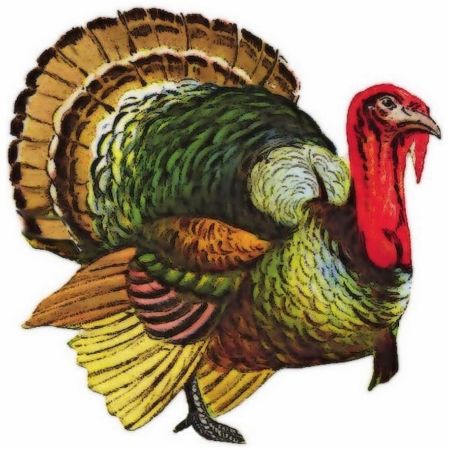 Vintage Turkey Illustration Sculpture (Front)