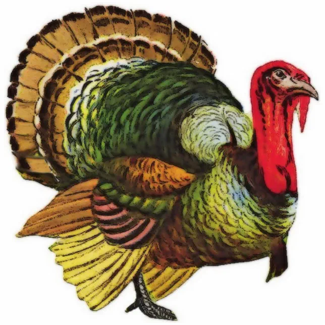 https://rlv.zcache.com/vintage_turkey_illustration_sculpture-rd658a20b41424f5f811c6dfce389e64d_x7saw_8byvr_644.webp