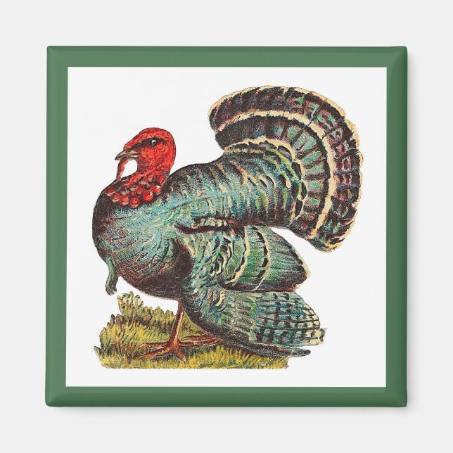 Vintage Turkey Magnet (Front)
