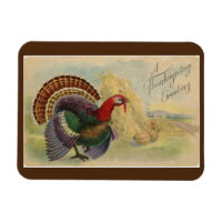 Vintage Turkey Magnet
