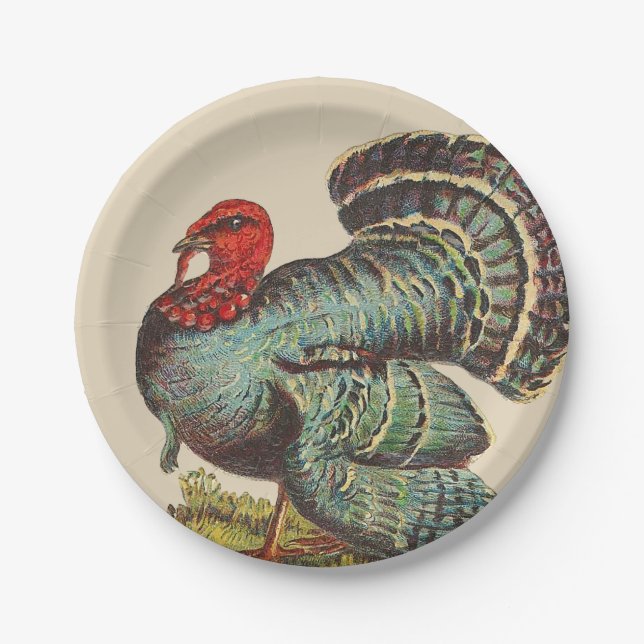 Vintage Turkey Paper Plates (Front)