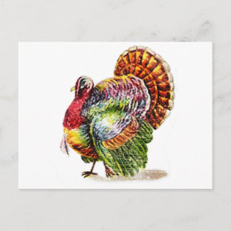 Vintage Turkey Postcard