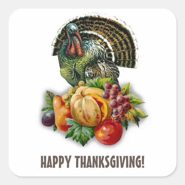 Vintage Turkey & Pumpkin Thanksgiving Square Sticker | Zazzle