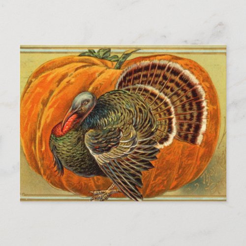 Vintage Turkey Thanksgiving Postcard