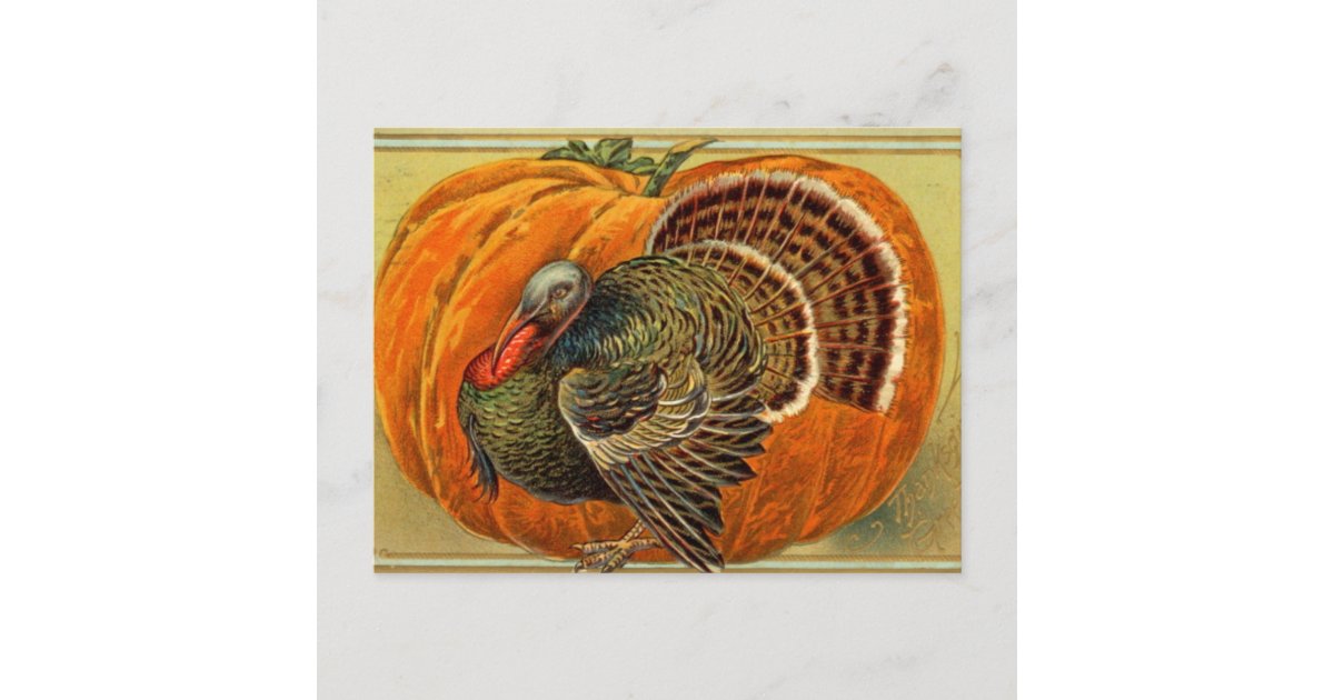 Vintage Turkey Thanksgiving Postcard | Zazzle