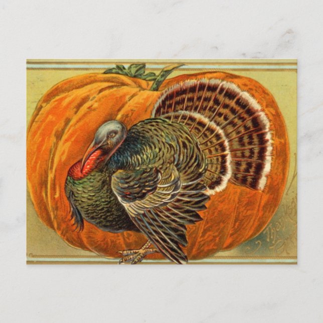 Vintage Turkey Thanksgiving Postcard (Front)