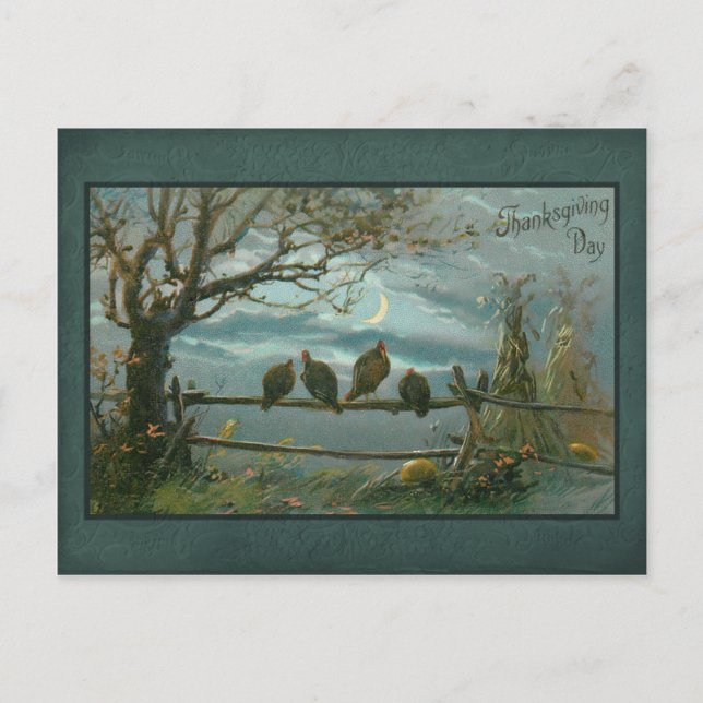 Vintage Turkeys on Fence in Moonlight Postcard (Front)
