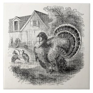 Vintage Turkeys - Personalized Barn Turkey Birds Ceramic Tile