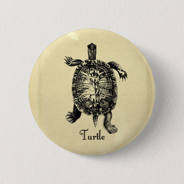 VINTAGE TURTLE BUTTON (Front)