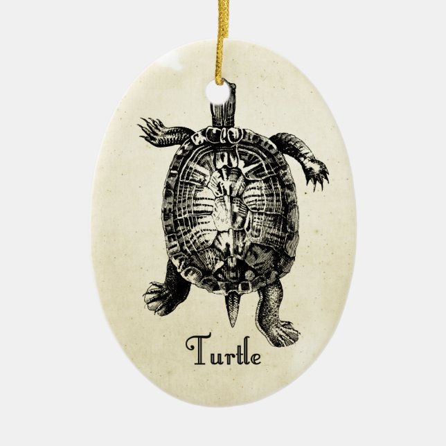 VINTAGE TURTLE CERAMIC ORNAMENT (Front)