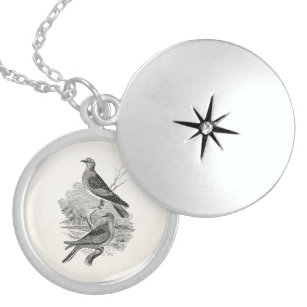 Turtle Dove Jewelry Zazzle Turtle Dove Jewelry Zazzle