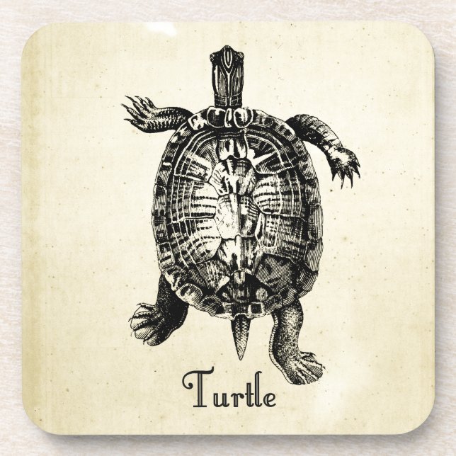 VINTAGE TURTLE DRINK COASTER (Front)