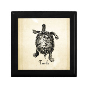 VINTAGE TURTLE GIFT BOX