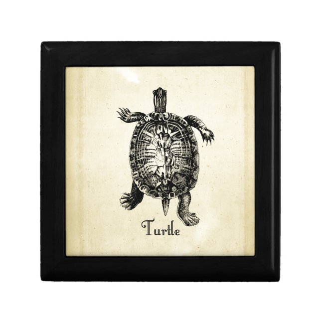 VINTAGE TURTLE GIFT BOX (Front)