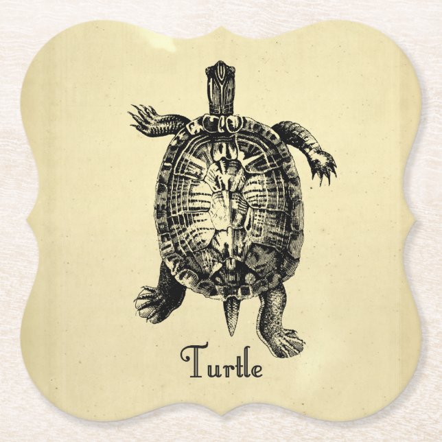 VINTAGE TURTLE PAPER COASTER (Front)