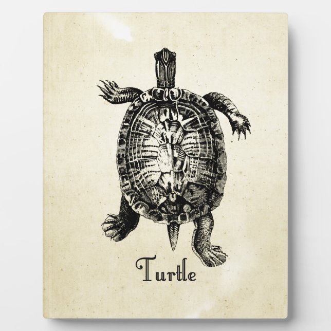 VINTAGE TURTLE PLAQUE (Front)