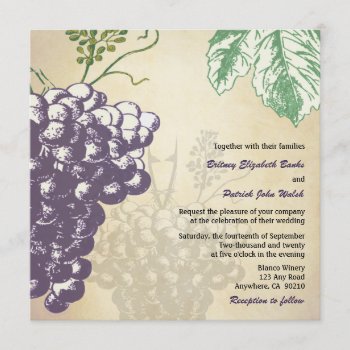 Vintage Tuscan Winery Vineyard Wedding Invitations by natureprints at Zazzle