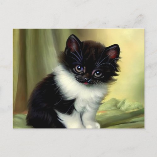 Vintage Tuxedo Kitten Illustration Postcard