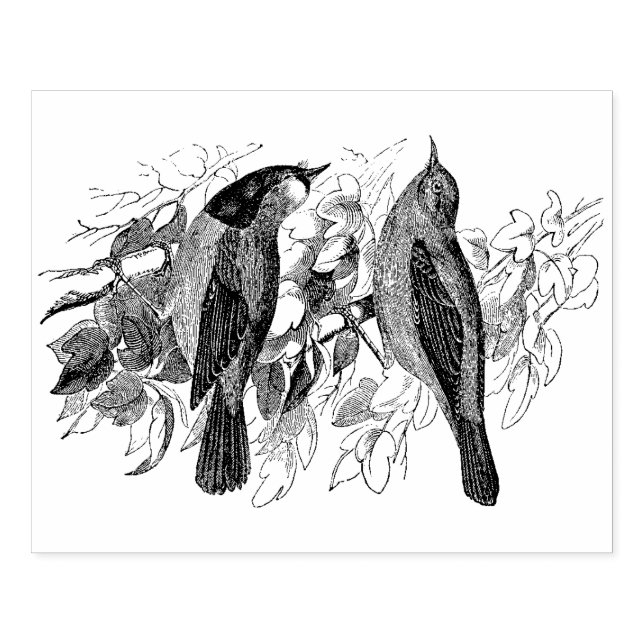Vintage Two Birds Antique Rubber Stamp (Imprint)