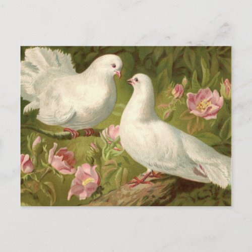 Vintage Two Easter Doves and Pink Roses Postcard