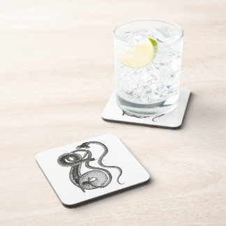 Vintage Two Headed Snake Curiosity Oddities Beverage Coaster