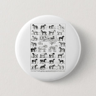 Vintage Types Of Horses Horse Breed Horseback Ridi Button