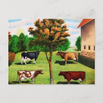 Vintage Typical Cow Breeds On The Farm Postcard by StarStruckDezigns at Zazzle