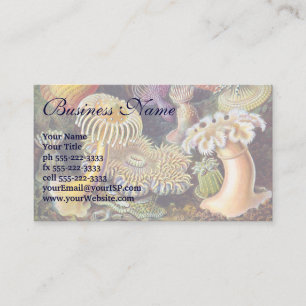 Vintage Underwater Sea Anemones by Ernst Haeckel Business Card