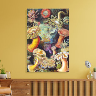 Vintage Underwater Sea Anemones by Ernst Haeckel Canvas Print