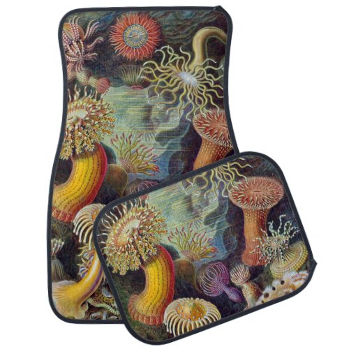 Vintage Underwater Sea Anemones by Ernst Haeckel Car Floor Mat