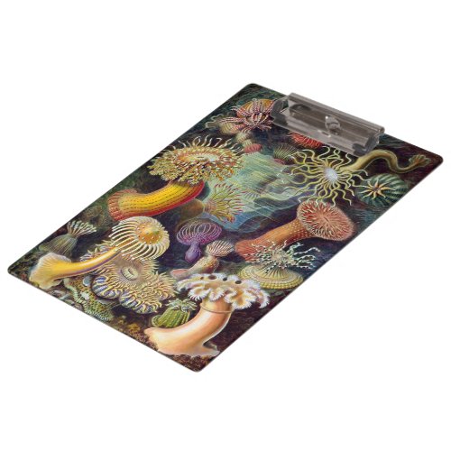 Vintage Underwater Sea Anemones by Ernst Haeckel Clipboard